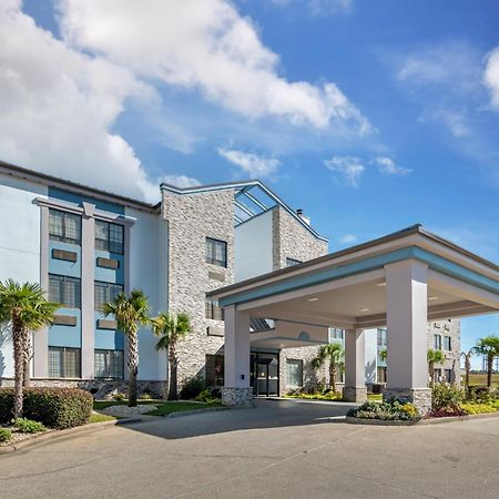 Comfort Suites הטיסבורג מראה חיצוני תמונה